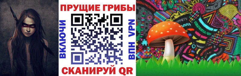 Галлюциногенные грибы MAGIC MUSHROOMS  Купить где  Белая Холуница 